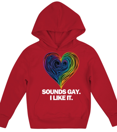Sounds Gay I Kids Hoodie