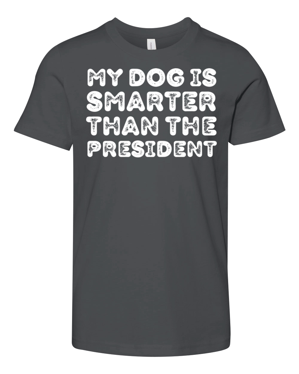 My Dog Is Smarter Than The President Youth Unisex Jersey Tee