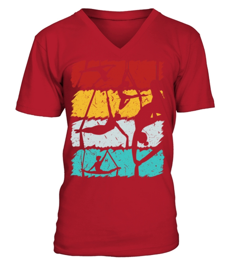 Aerialist Vintage Air Yoga Acrobatics Women Aerial V-Neck T-shirt