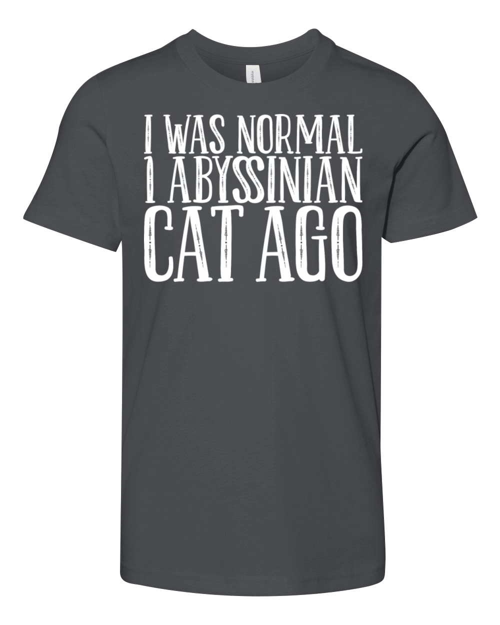 Abyssinian Abyssinian cat Gift Youth Unisex Jersey Tee