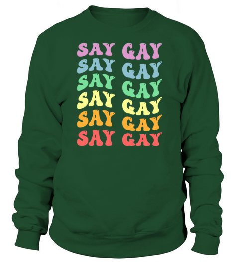 LGBTQ Say Gay Pride LGBT Rainbow Flag Color Retro Sweatshirt Unisex