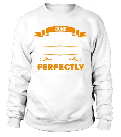 June 1987 Vintage Birthday Present Sweatshirt Unisex