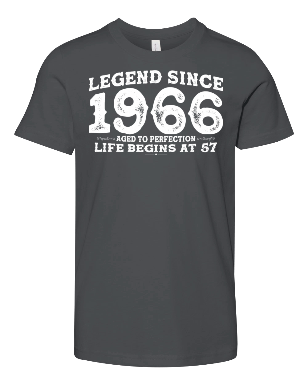 Vintage 1966 Shirt for Men Women 57 Year Old 57th Youth Unisex Jersey Tee