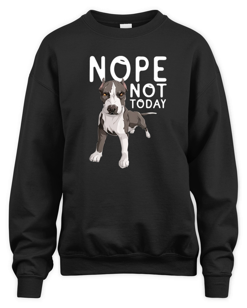 Nope not today Unisex Premium Crewneck Sweatshirt