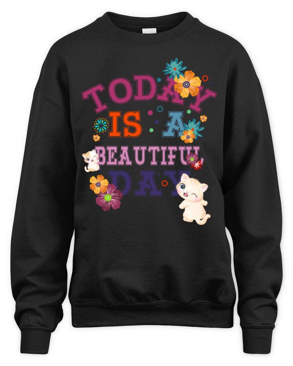 Today Is A Beautiful Day Unisex Premium Crewneck Sweatshirt