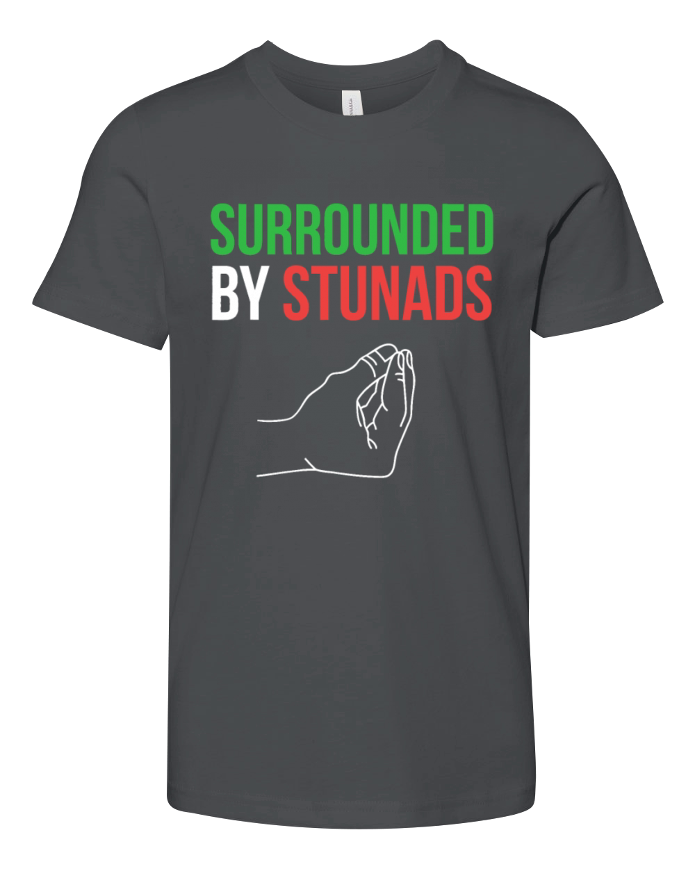 Surrounded by Stunads Funny Italian Sayings Youth Unisex Jersey Tee