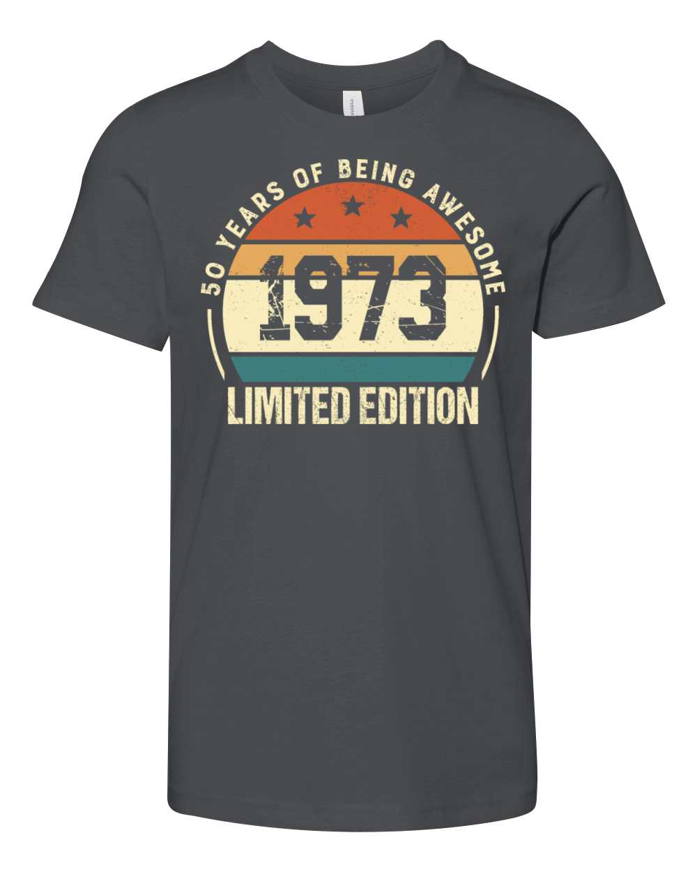 Vintage 50 Year Old Birthday Gifts 1973 Retro 50th Youth Unisex Jersey Tee