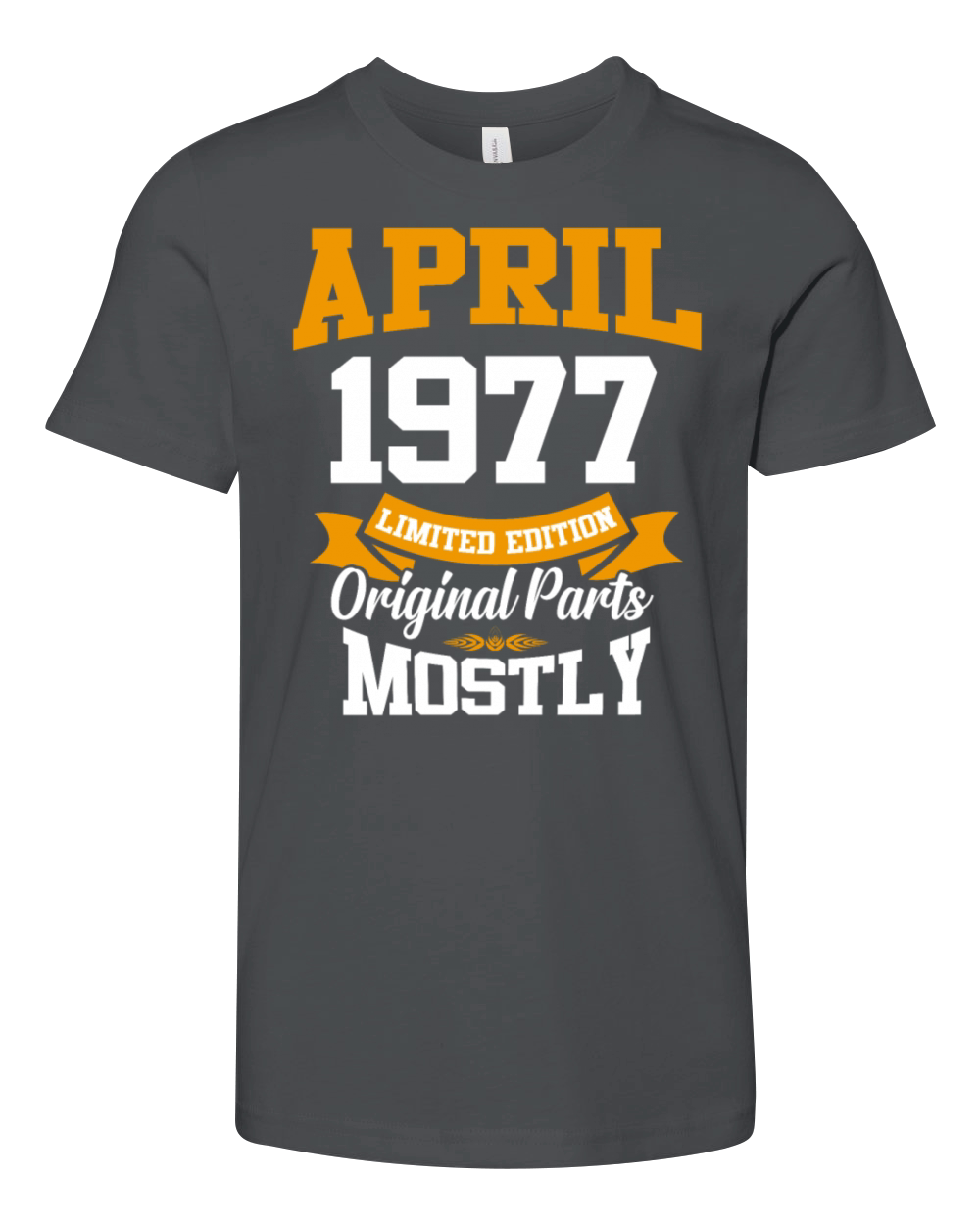 April 1977 Vintage Birthday Present Youth Unisex Jersey Tee