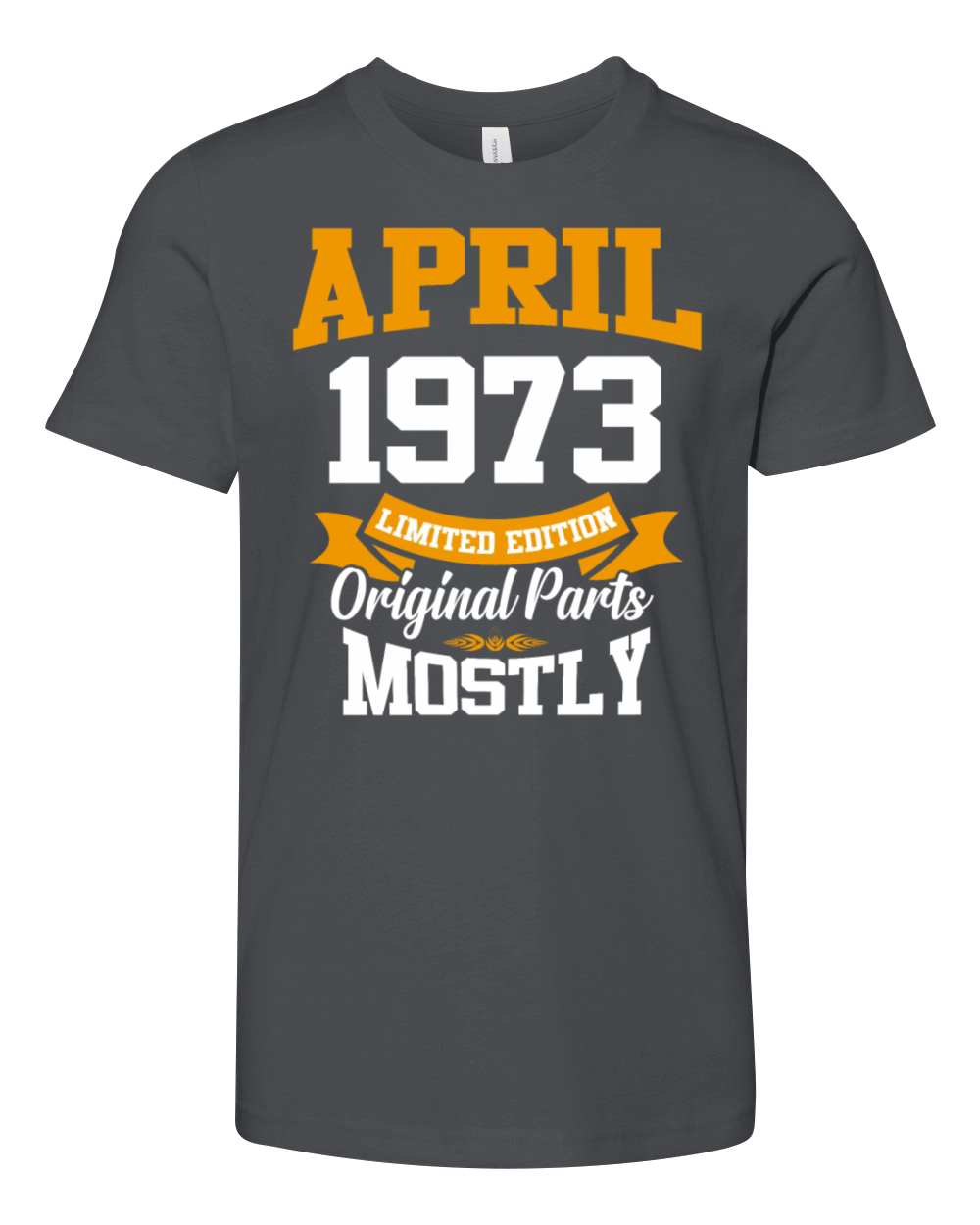 April 1973 Vintage Birthday Present Youth Unisex Jersey Tee