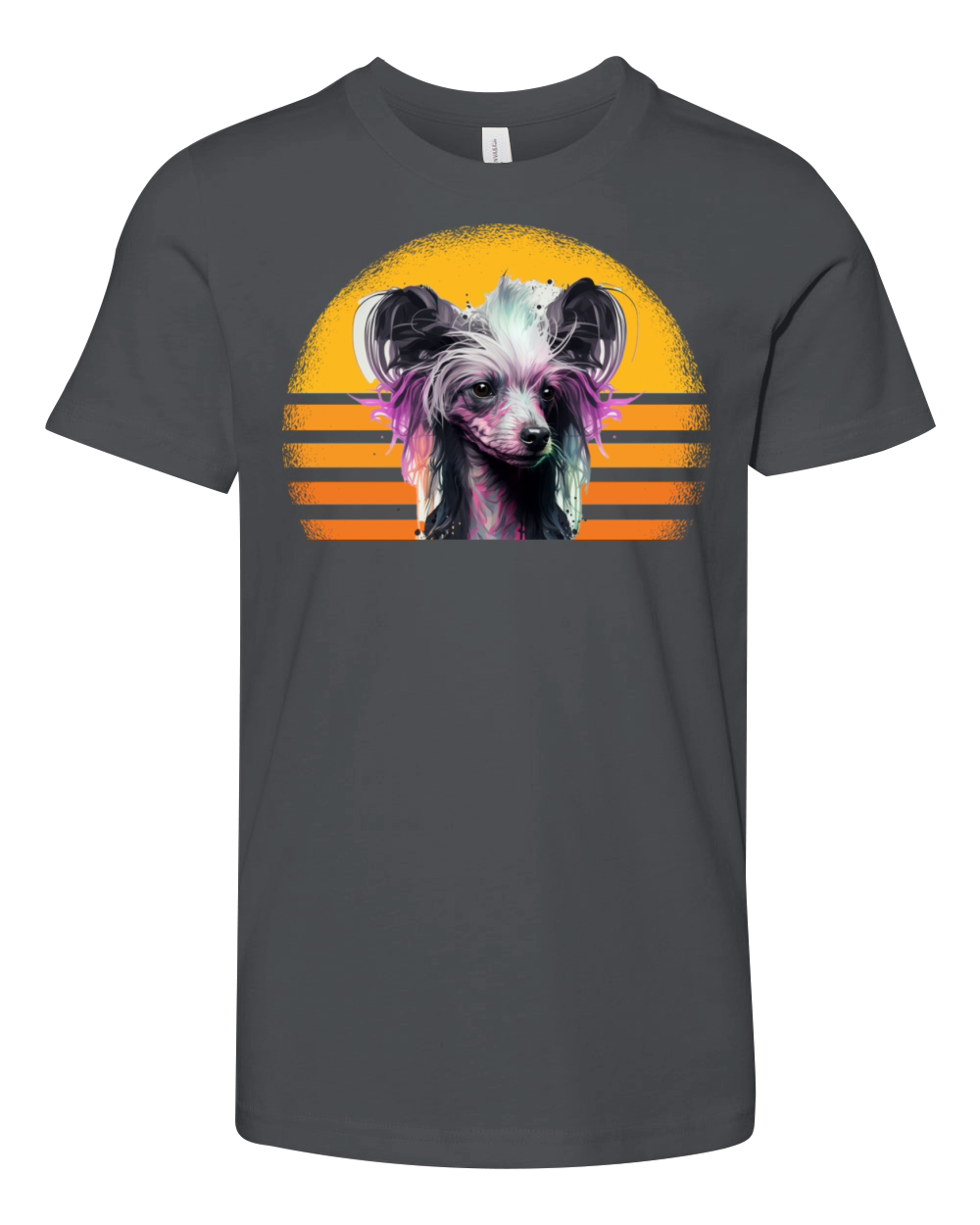 Chinese Crested Dog Retro Vintage Youth Unisex Jersey Tee