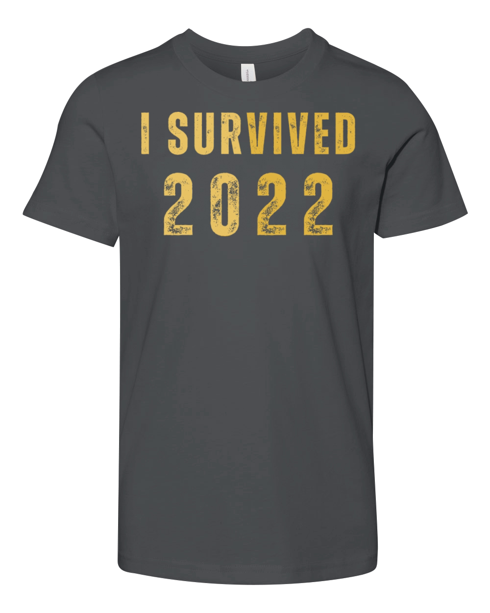 i survived 2022 Youth Unisex Jersey Tee