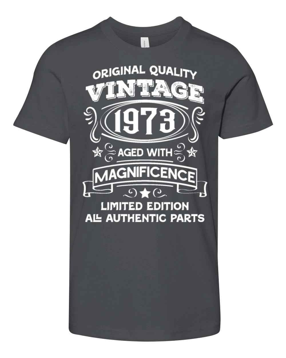 Vintage 1973 aged with magnificence Youth Unisex Jersey Tee