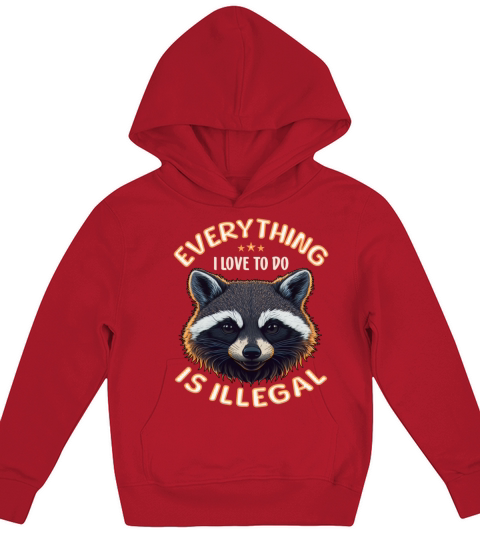 Everything I Love To Do Is Illegal Funny Racoon Kids Hoodie
