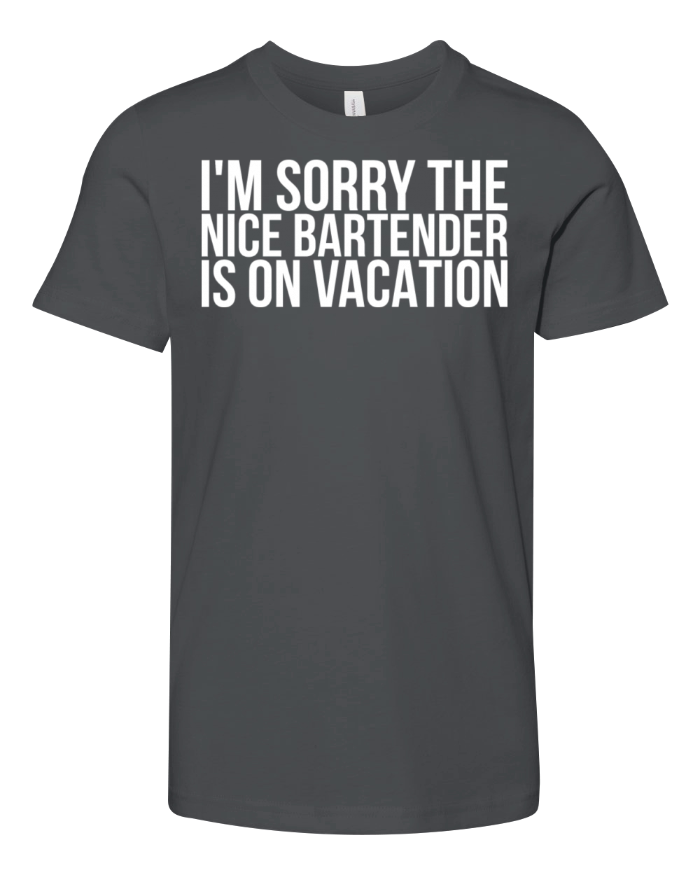 Im sorry The Nice Bartender Is On Vacation Youth Unisex Jersey Tee