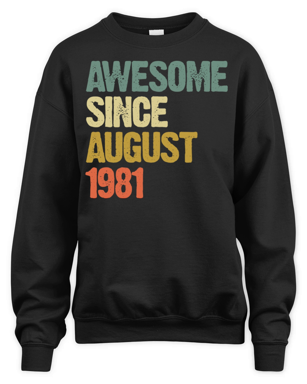 Retro Vintage Awesome Since August 1981 Gift Unisex Premium Crewneck Sweatshirt