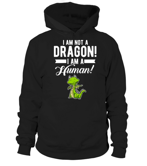 Funny Quote Dragon Saying Humorous Present For Men Hoodie Unisex