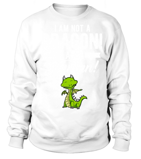Funny Quote Dragon Saying Humorous Present For Men Sweatshirt Unisex