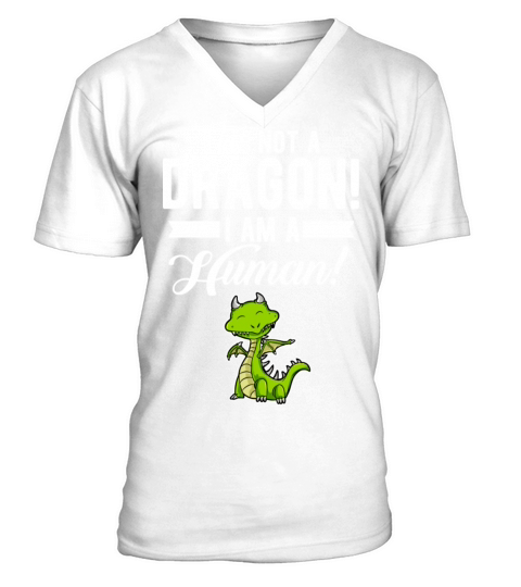 Funny Quote Dragon Saying Humorous Present For Men V-Neck T-shirt