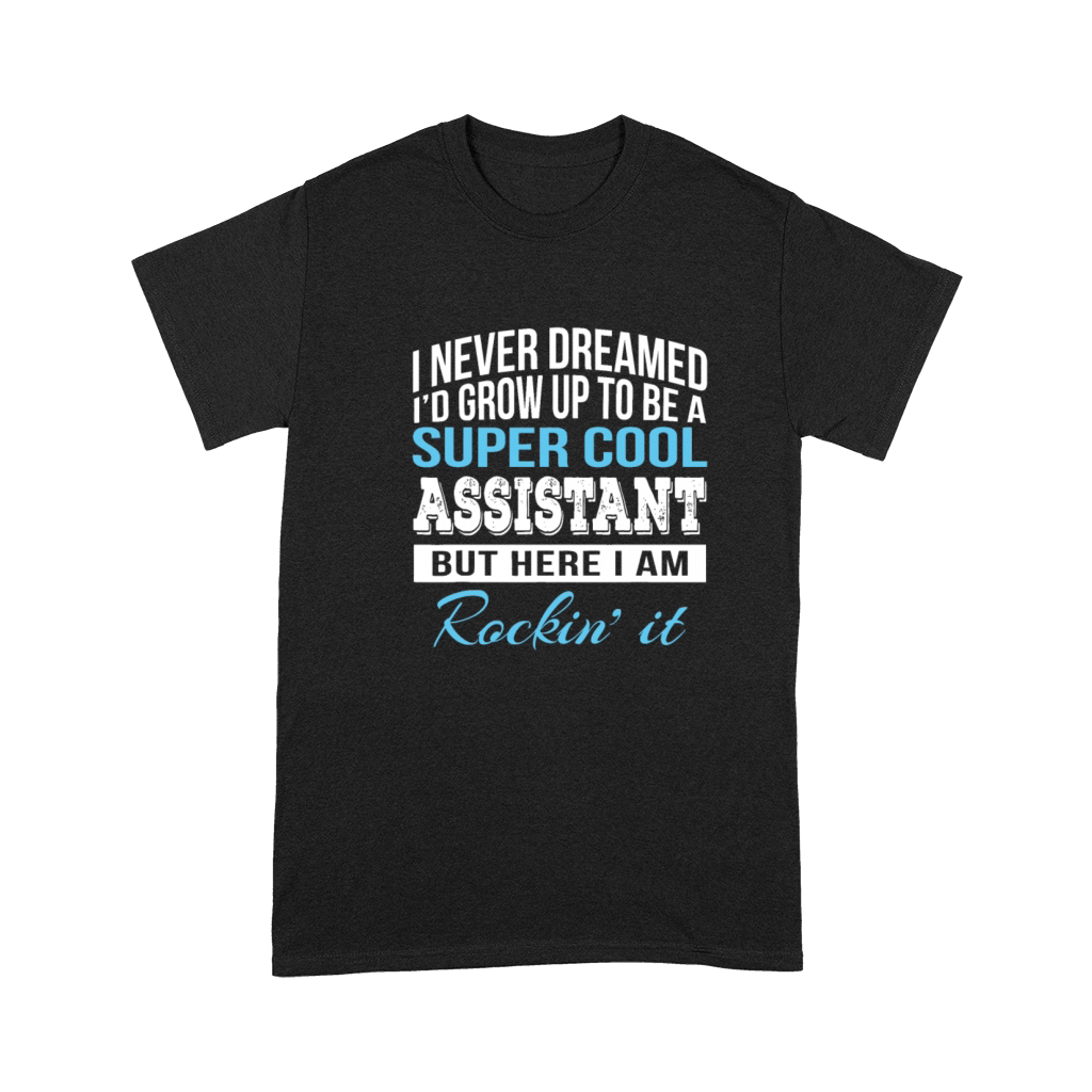 Funny Assistant Gift Admin Premium T-shirt