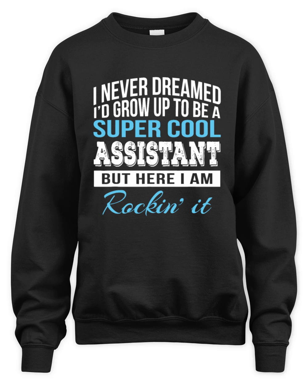 Funny Assistant Gift Admin Unisex Premium Crewneck Sweatshirt