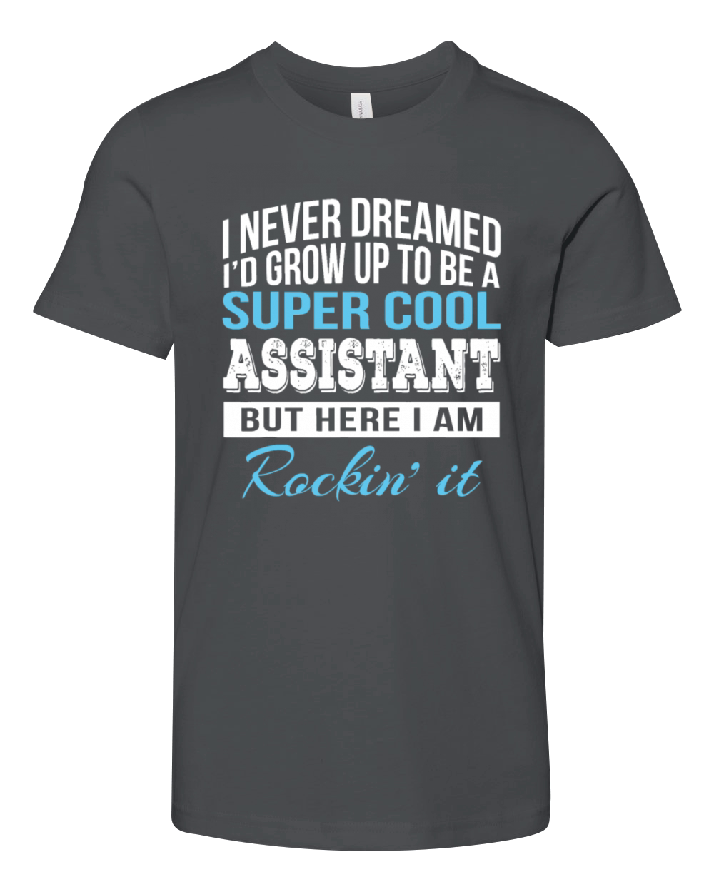 Funny Assistant Gift Admin Youth Unisex Jersey Tee