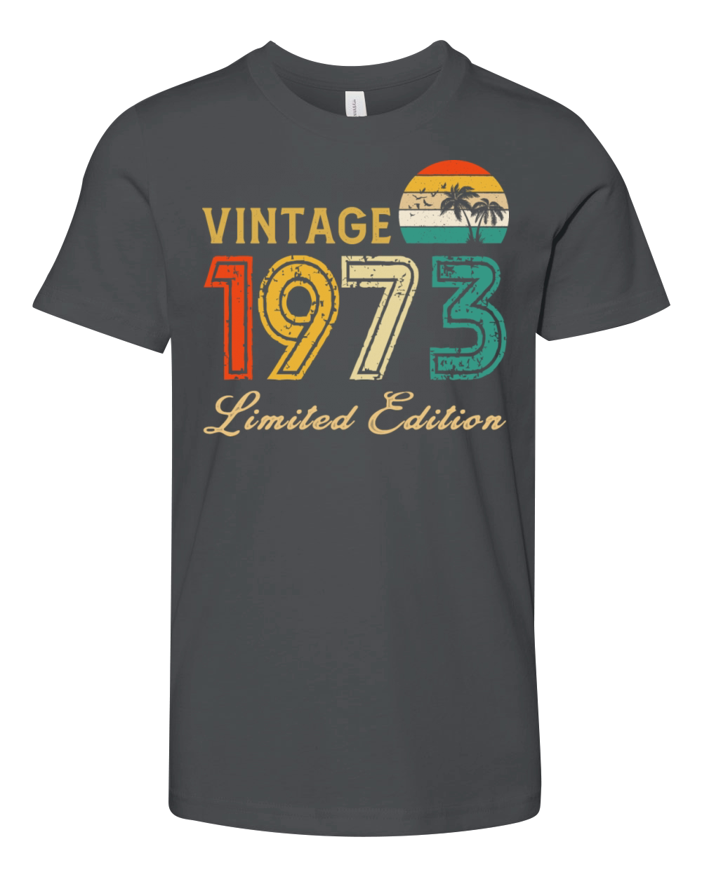 Vintage 1973 Limited Edition Made In 1973 Birthday Youth Unisex Jersey Tee