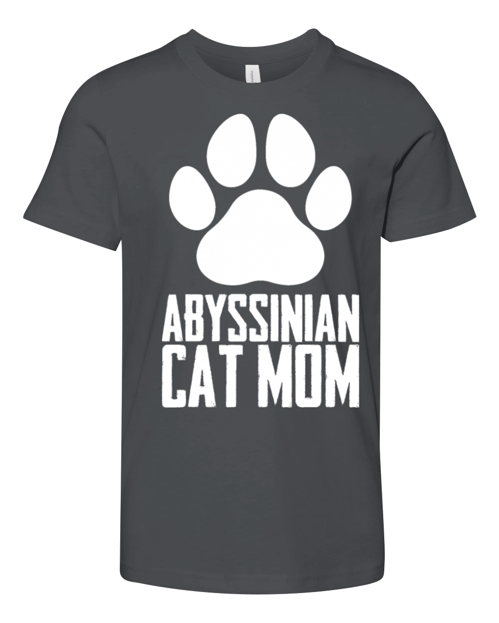 Abyssinian Abyssinian cat Gift Youth Unisex Jersey Tee