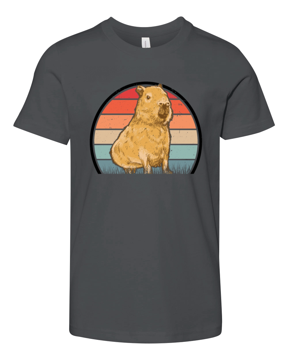 Capybara Retro Vintage Youth Unisex Jersey Tee