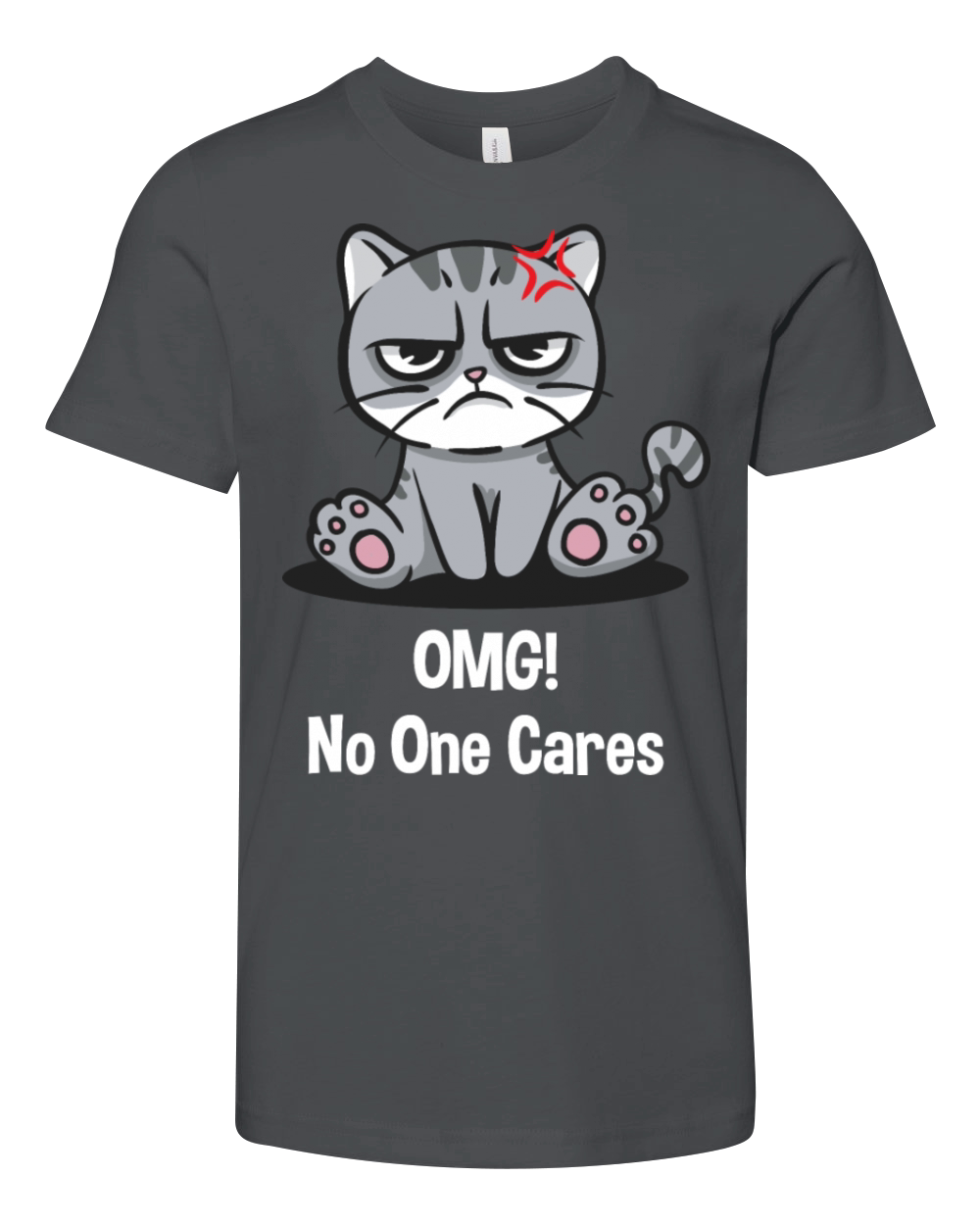 OMG No One Cares Sarcastic Funny Sarcasm Humor Int Youth Unisex Jersey Tee