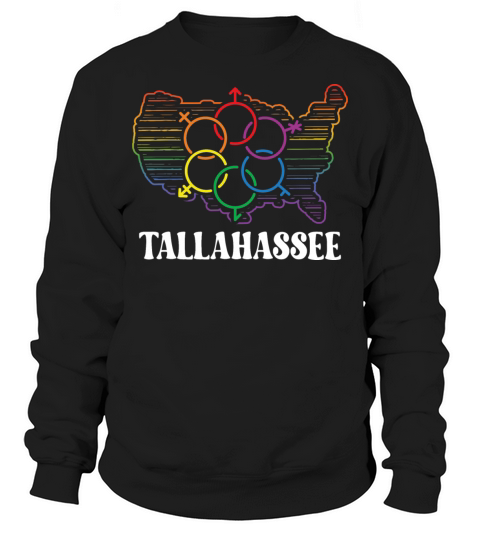 Tallahassee Pride Month Pride Flag LGBT Community Sweatshirt Unisex