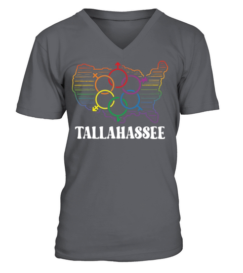 Tallahassee Pride Month Pride Flag LGBT Community V-Neck T-shirt