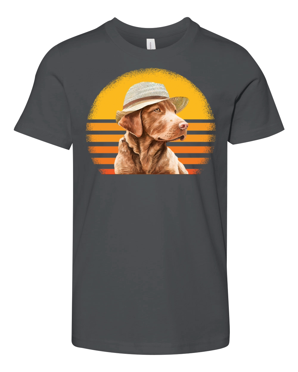 Chesapeake Bay Retriever Dog Retro Vintage Youth Unisex Jersey Tee