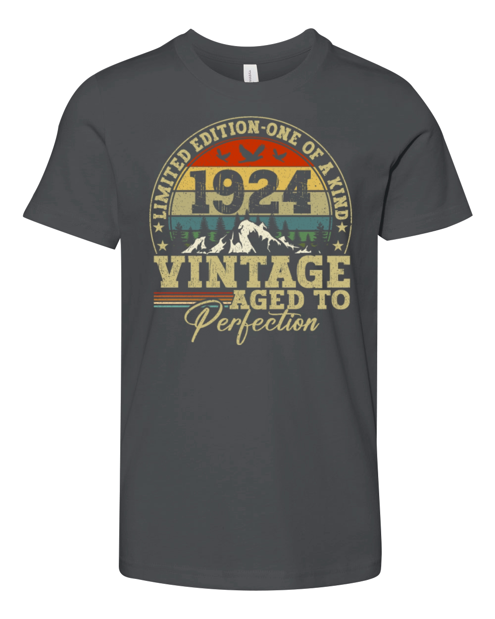 1924 Birthday vintage vintage sloth gift Youth Unisex Jersey Tee