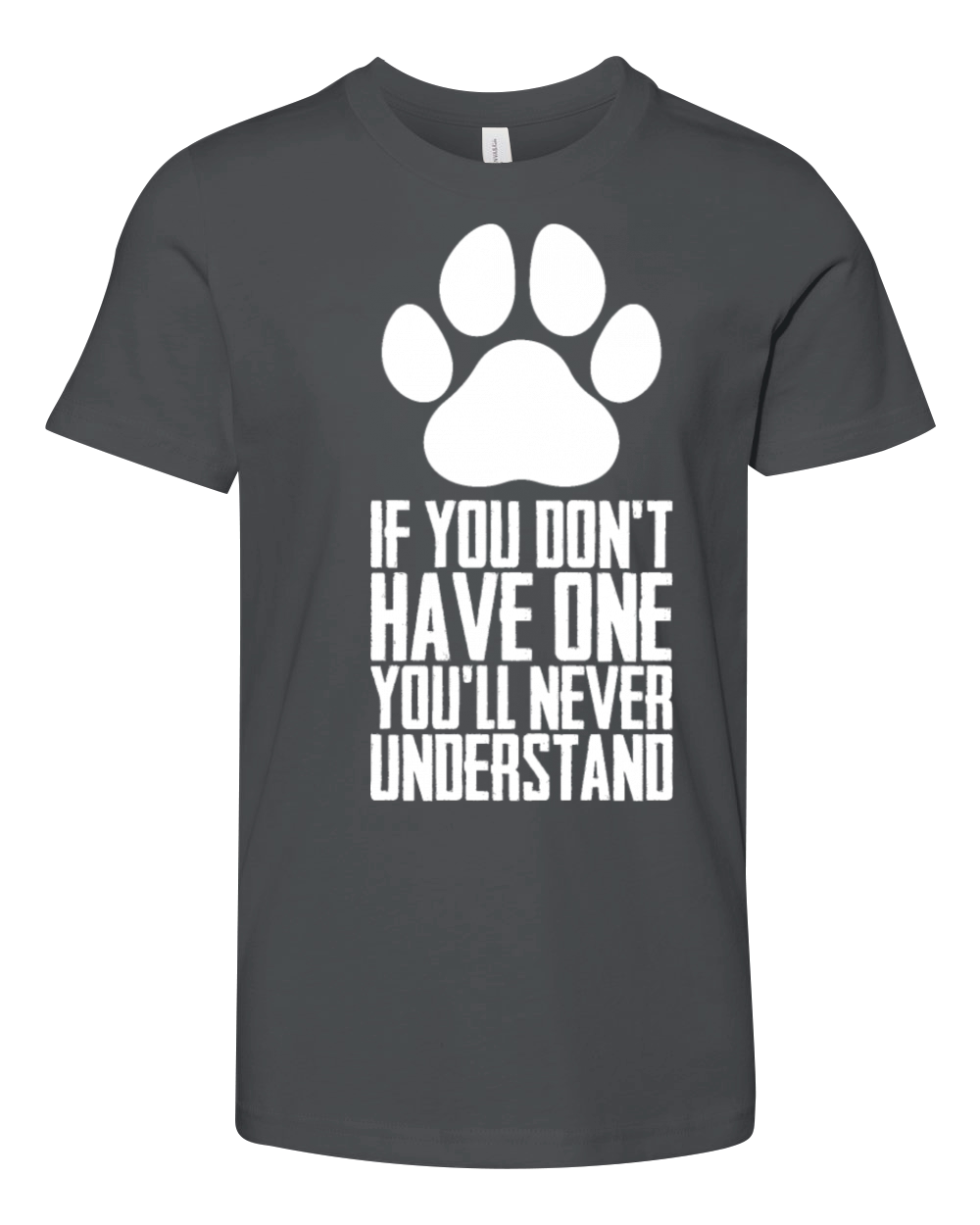 Abyssinian Abyssinian kitten Youth Unisex Jersey Tee