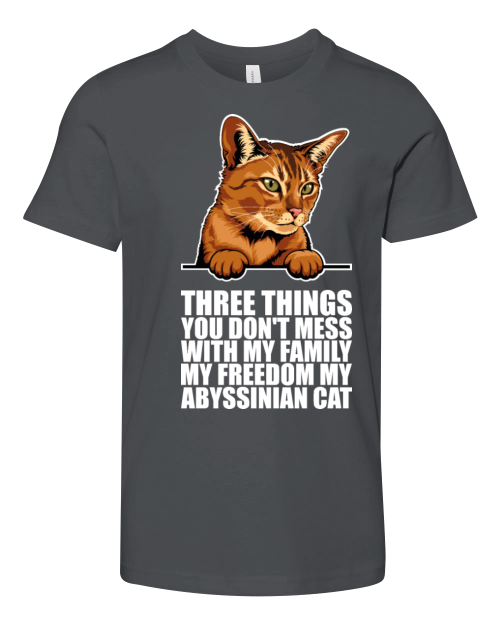 Abyssinian cat Abyssinian mom Youth Unisex Jersey Tee