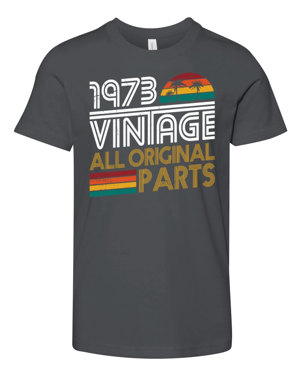50th birthday vintage 1973 born in 1973 Youth Unisex Jersey Tee