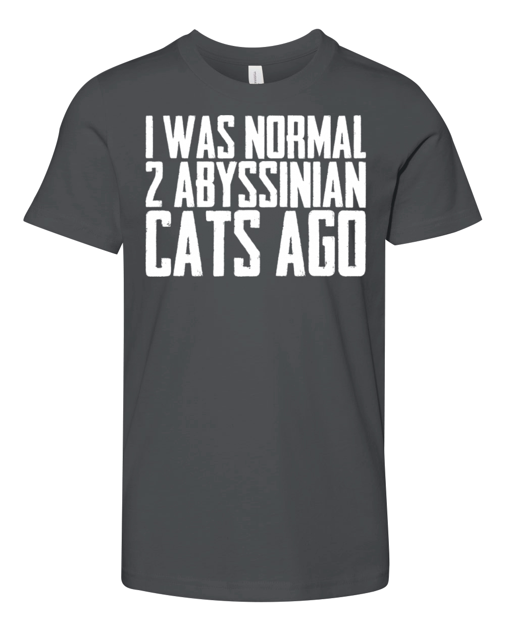 Abyssinian cat Abyssinian mom Youth Unisex Jersey Tee