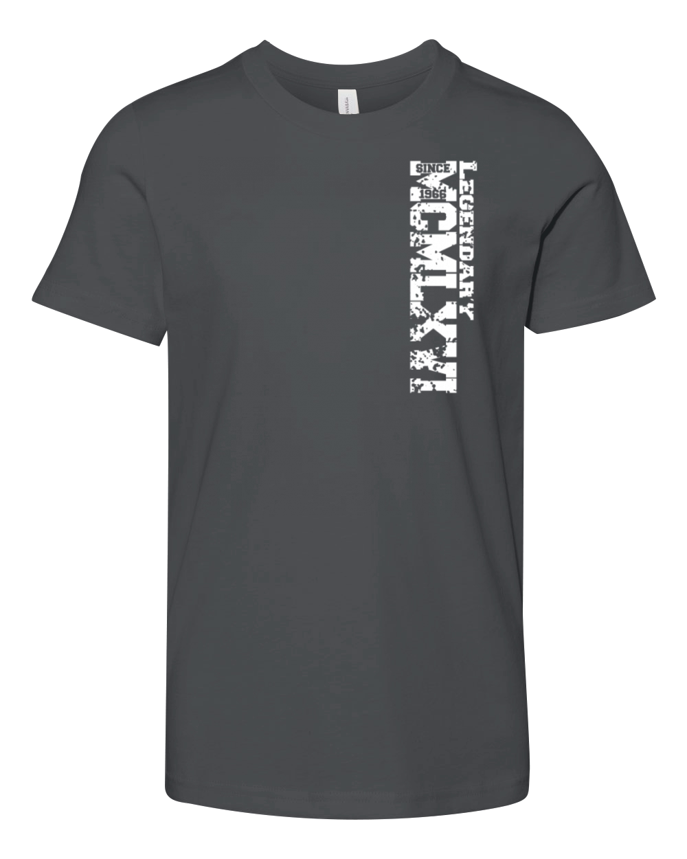 Birthday gift legandary vintage 1966 Youth Unisex Jersey Tee