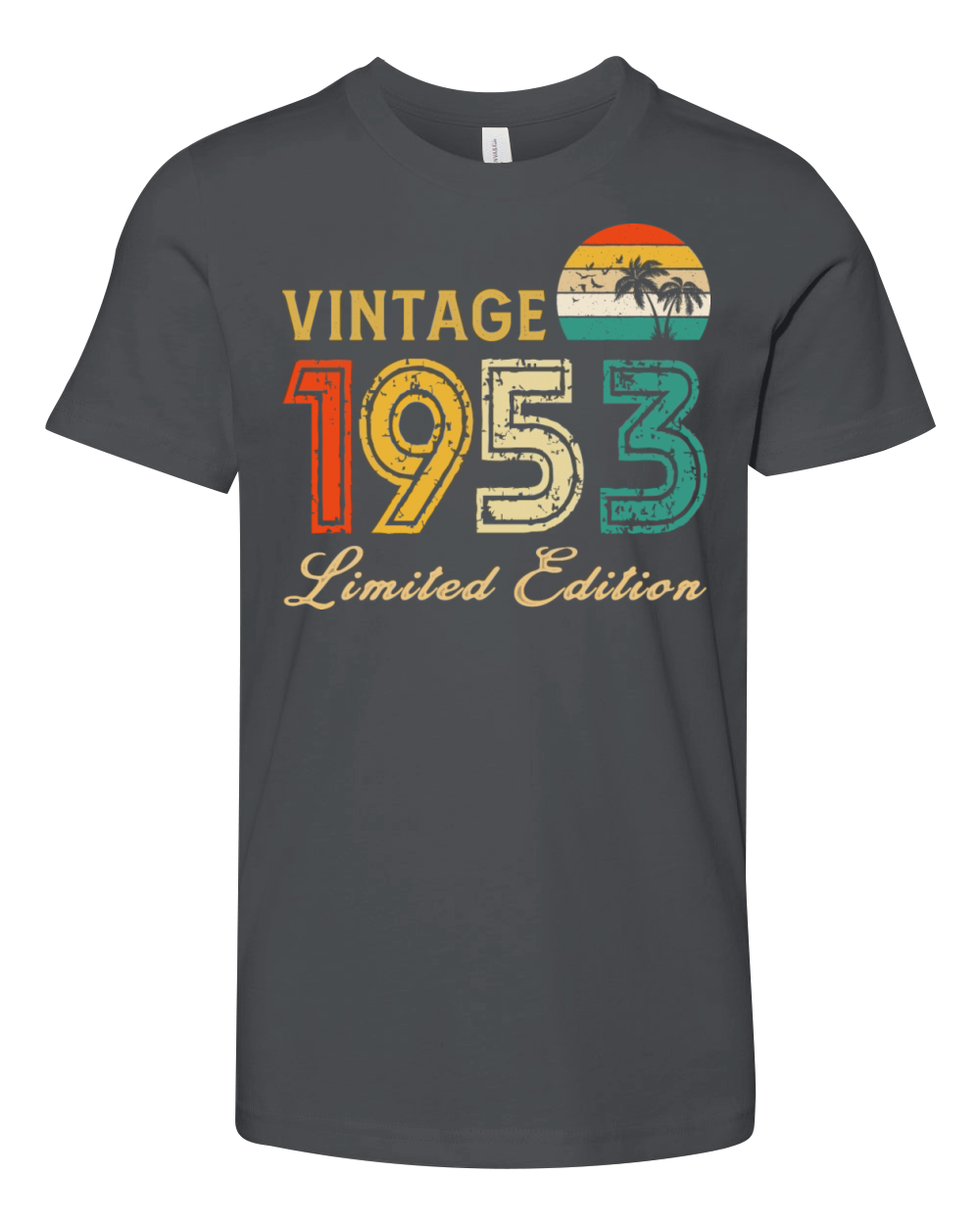 Vintage 1953 Limited Edition Made In 1953 Birthday Youth Unisex Jersey Tee
