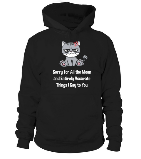 Sorry for the Mean and Accurate Things I Say Funny Hoodie Unisex