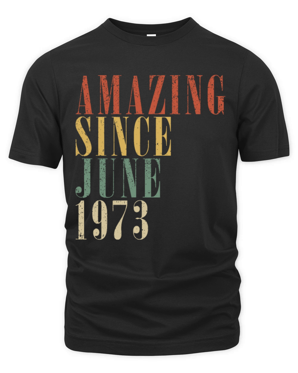June 1973 Vintage Birthday Gift Organic Unisex T-shirt
