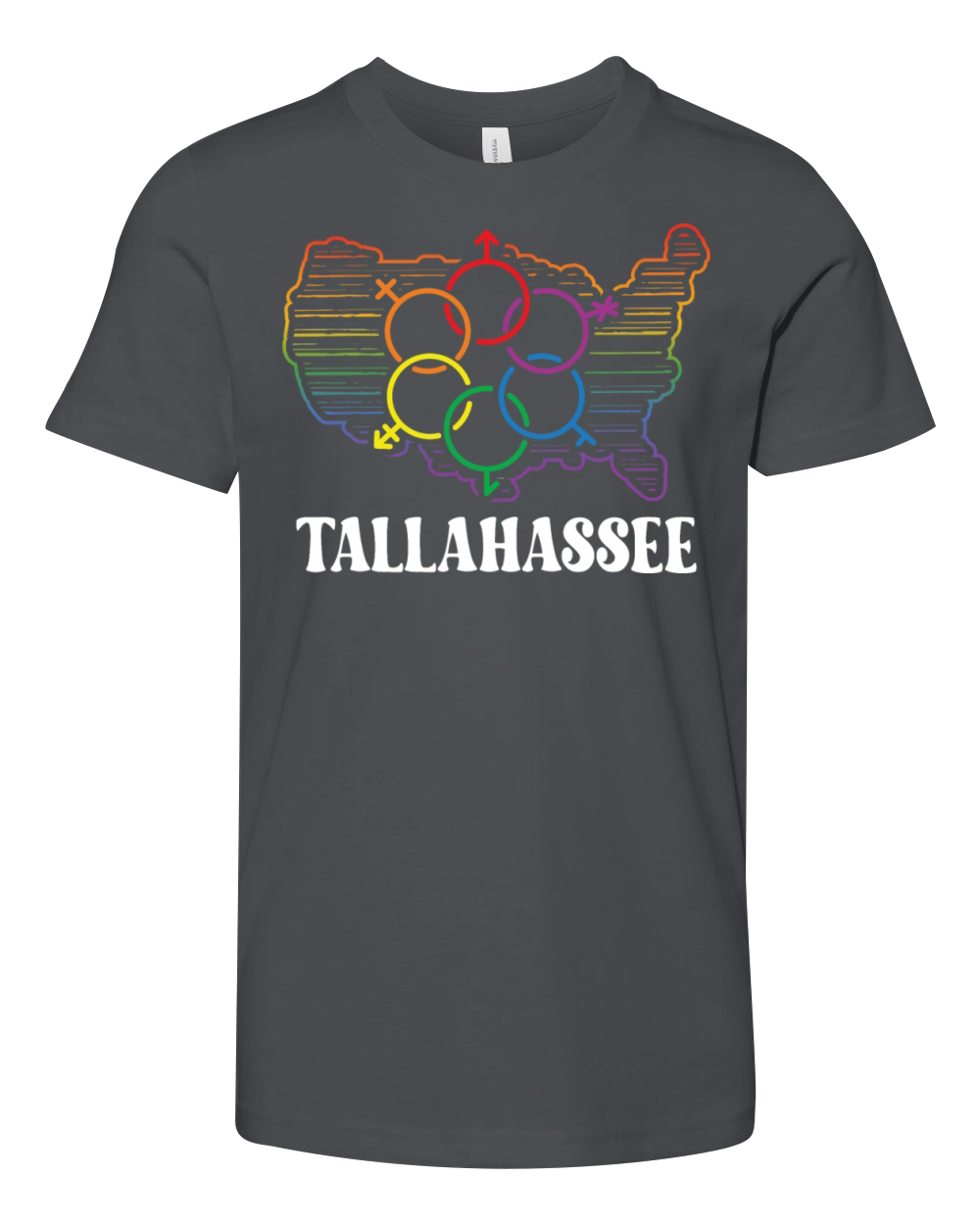 Tallahassee Pride Month Pride Flag LGBT Community Youth Unisex Jersey Tee
