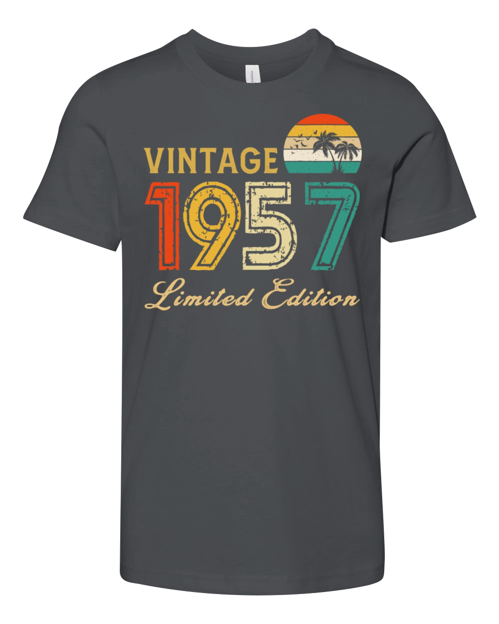 Vintage 1957 Limited Edition Made In 1957 Birthday Youth Unisex Jersey Tee