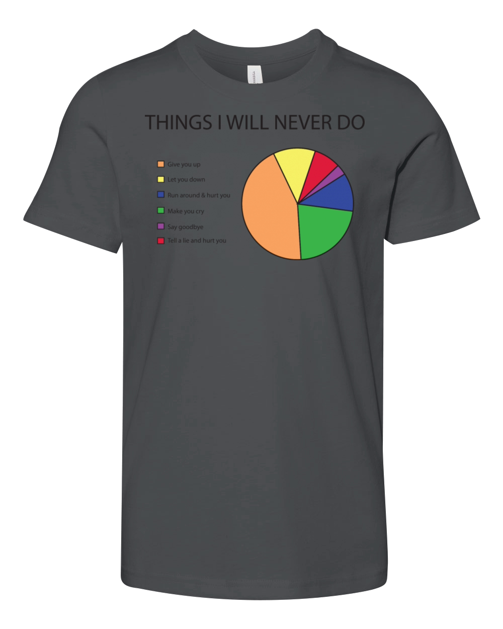Things I will never do pie chart Youth Unisex Jersey Tee