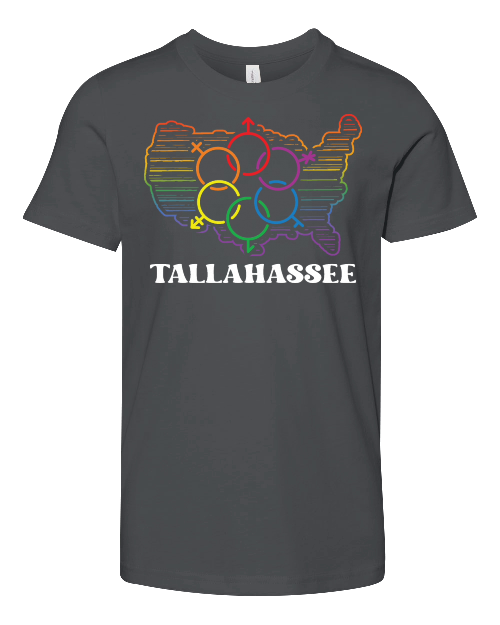 Tallahassee Pride Flag Pride Month LGBTQ Flag LGBT Youth Unisex Jersey Tee
