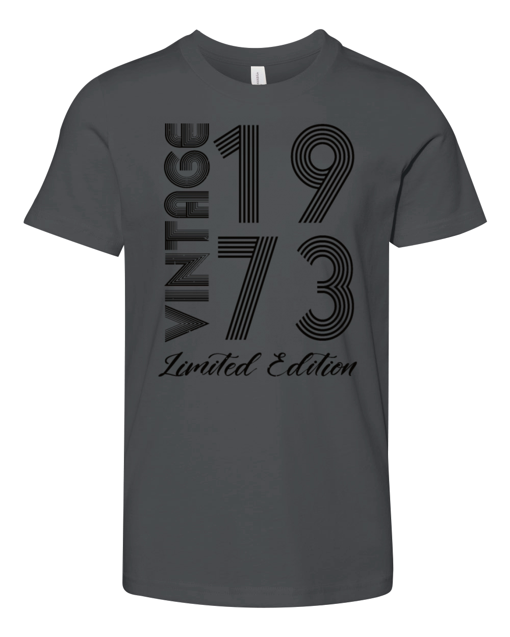 Vintage 1973 Vintage Birthday Retro Vintage Youth Unisex Jersey Tee