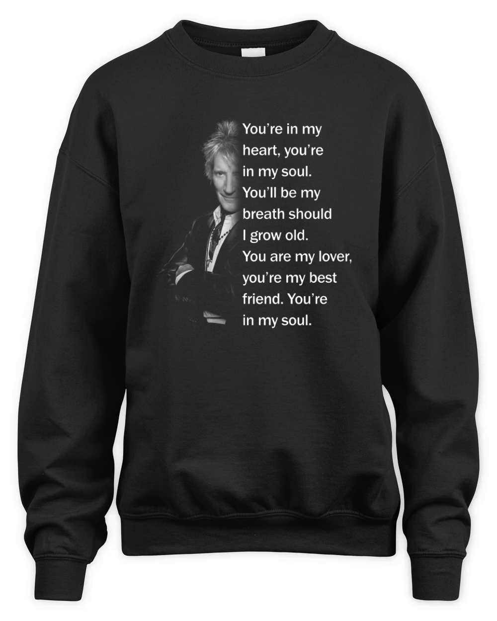 Rod Stewart You’re in my heart you’re in my soul Unisex Premium Crewneck Sweatshirt