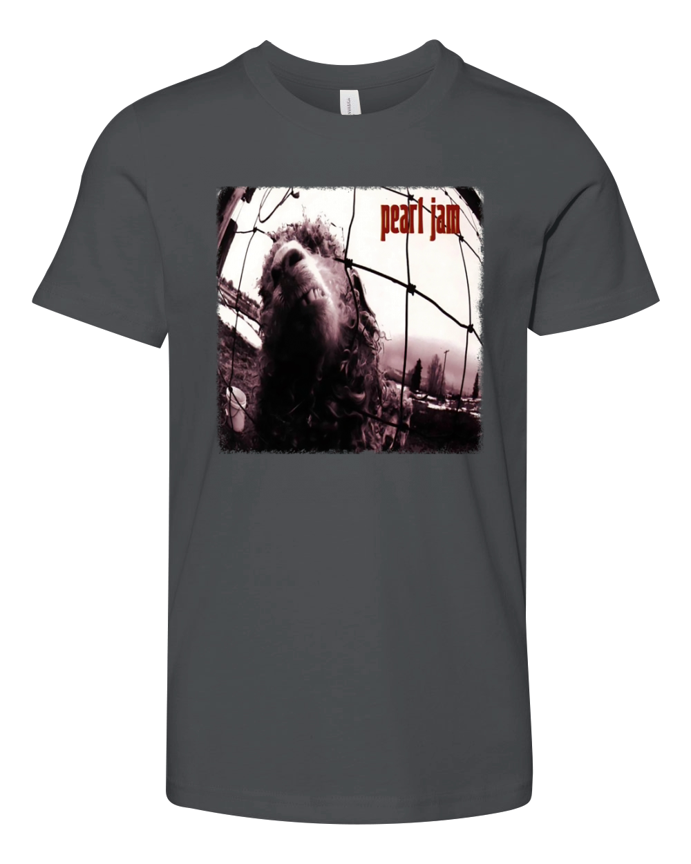 Heeloo Pearl  Jam Youth Unisex Jersey Tee