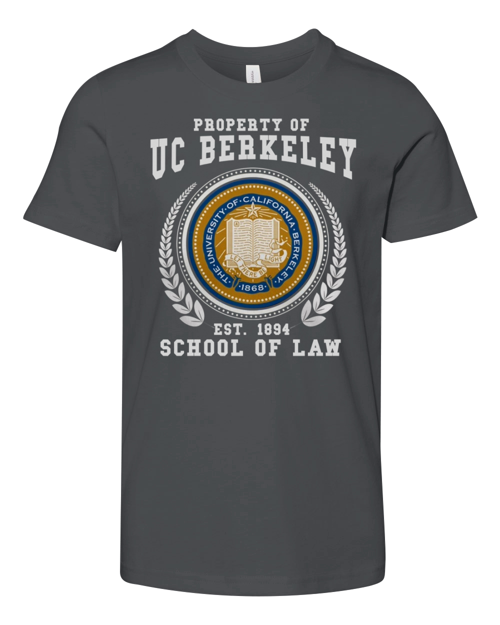 University of California Berkeley Boalt Hall School of Law Youth Unisex Jersey Tee