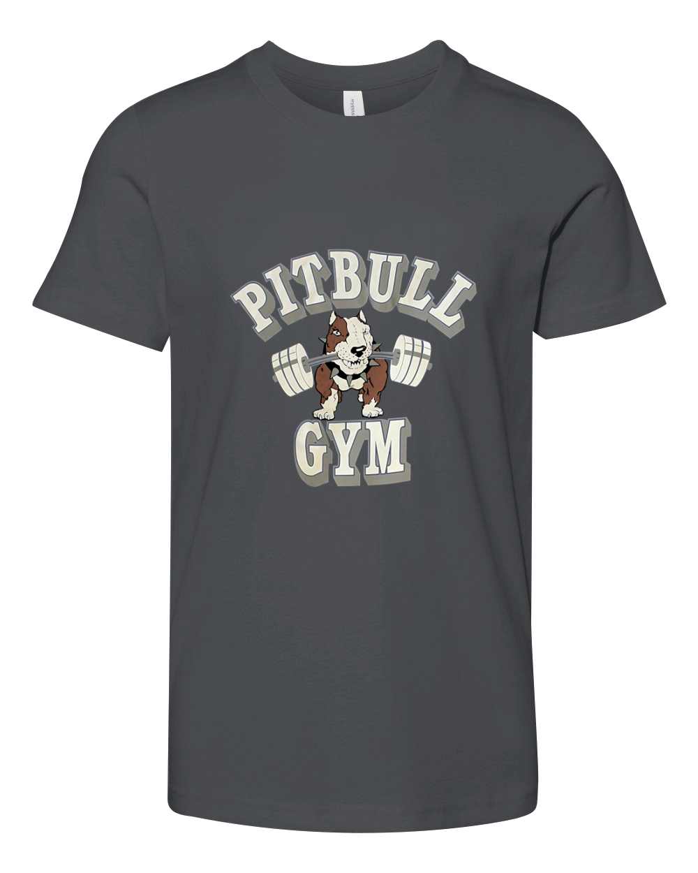 Pitbull Gym P101 Classic Logo Bodybuilding Youth Unisex Jersey Tee